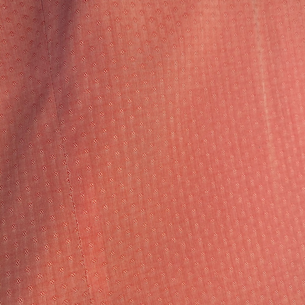 Express Pink Button-Down - Picture 4 of 4